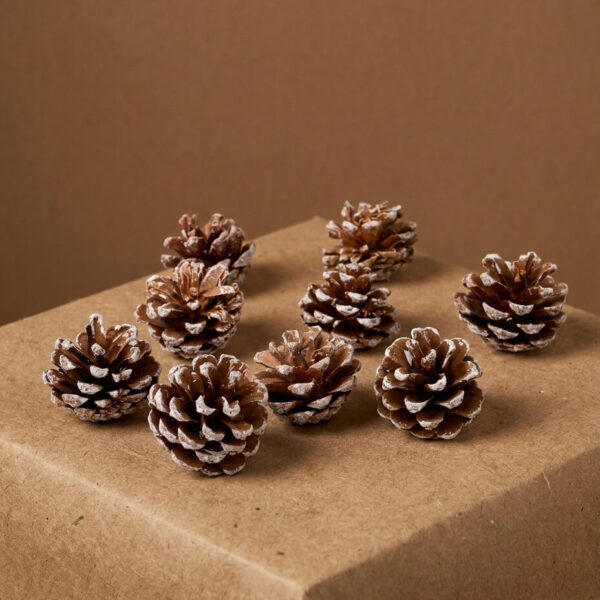 Pack 9 Piñas Nevadas | Navidad 1