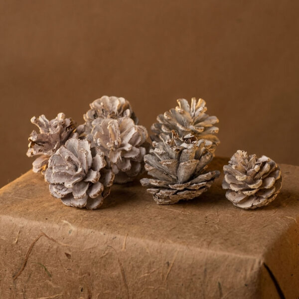 Piñas Blancas Decorativas de Navidad 1